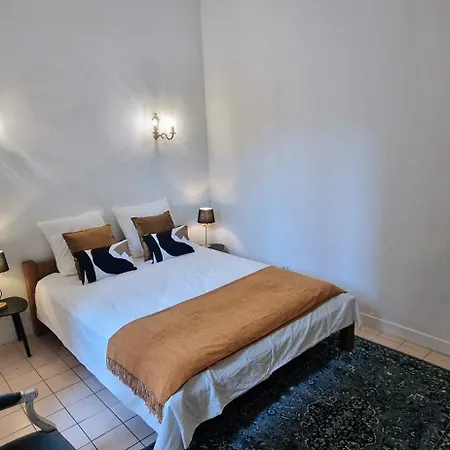 公寓 Le Parc2 Authentique, Coeur De Ville, Proximite Parking, Climatise
